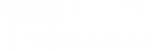 Website Growth System